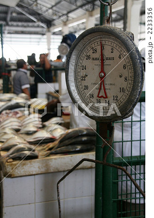 エクアドル・魚市場② 2233356