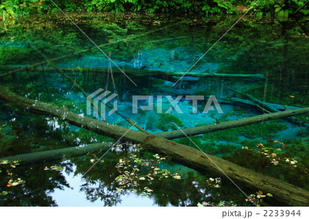 神の小池 2233944