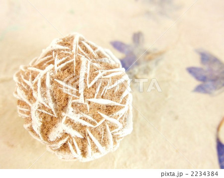 砂漠のバラ 2234384