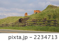 阿蘇の牛たち 2234713