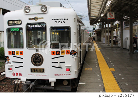 たま電車 2235177
