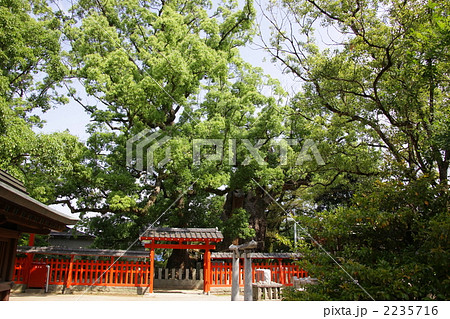 衣掛の森 2235716