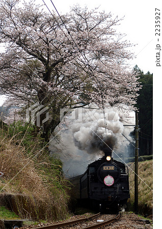 桜と蒸気機関車 2235927
