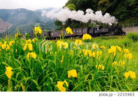 キショウブと蒸気機関車 キショウブと蒸気機関車 2235963