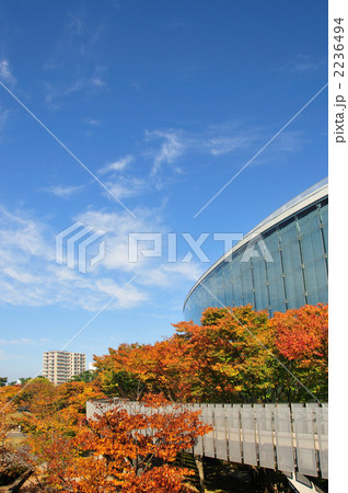 新潟市民芸術文化会館と紅葉 2236494