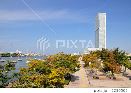 秋の朱鷺メッセ 2236502