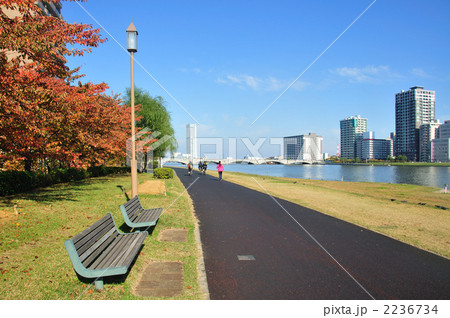 新潟市の風景 2236734