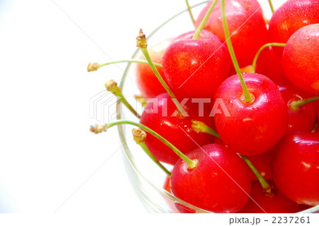 魅惑の赤 2237261