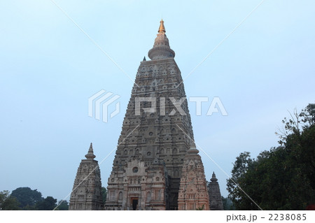 ブッタガヤのマハーボーディー寺院群 2238085