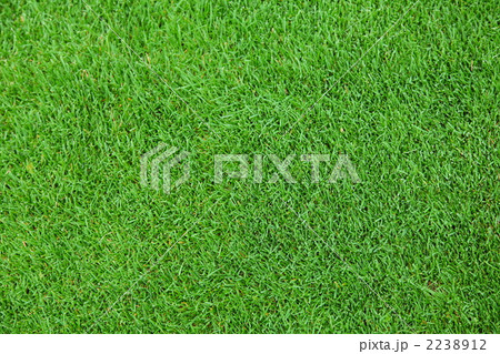 芝生 芝生 2238912