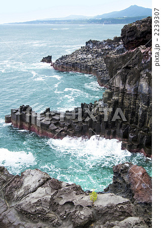 大浦海岸柱状節理帯 大浦海岸柱状節理帯 2239307