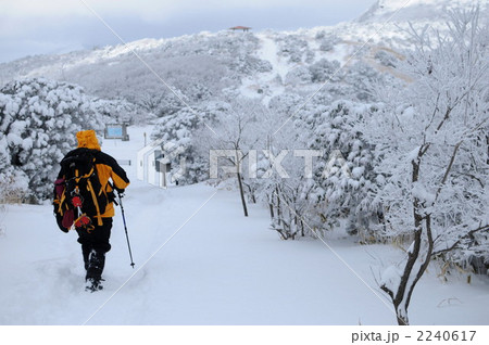大分・九重・牧ノ戸峠 大分・九重・牧ノ戸峠 2240617