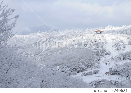大分・九重・牧ノ戸峠 大分・九重・牧ノ戸峠 2240621
