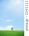 草原の木 2241111
