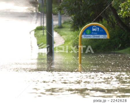 Flood Crisis 2242628