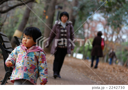 森の中のおやつ2 2242730