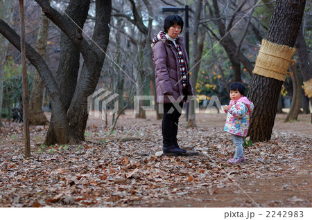 森の散歩２ 2242983