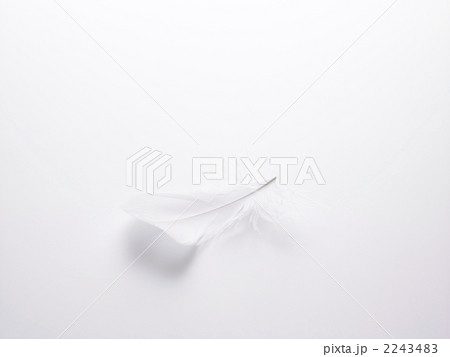 フェザー 2243483