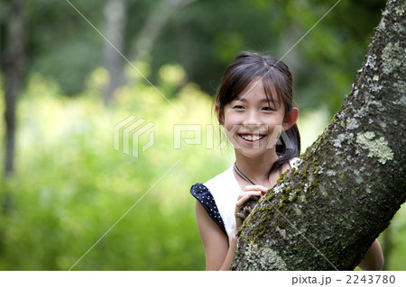 木からのぞく 2243780