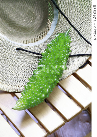 ゴーヤ_01 2243839