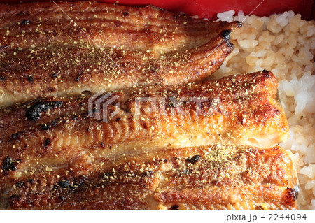 うな重 うな重 2244094