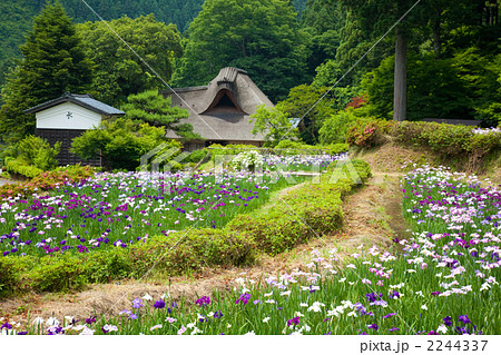 千古の家 千古の家 2244337