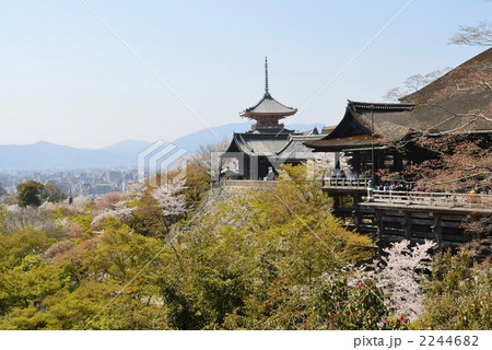 清水寺の桜 2244682