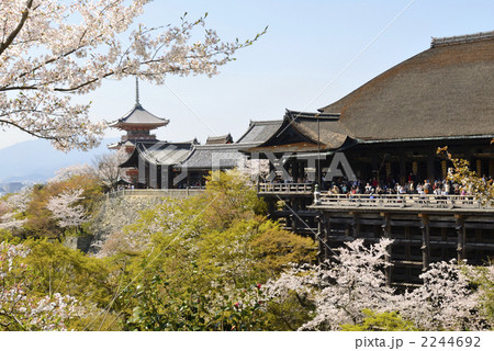 清水寺の桜 2244692