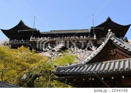 音羽の滝からの清水寺と桜 2244740