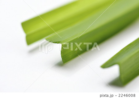 2246008