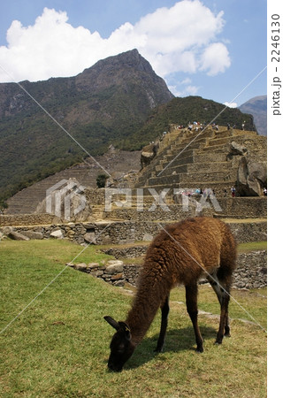 マチュピチュ・ペルー 2246130