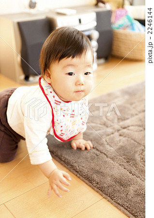 はいはいする赤ちゃん 2246144