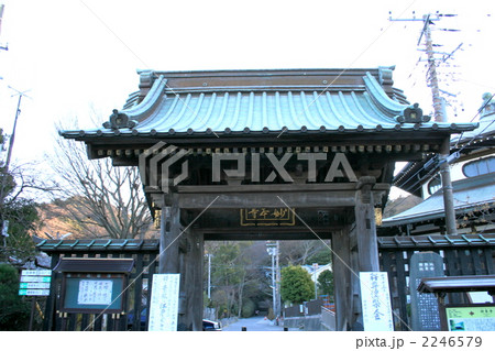 日蓮宗最古の寺院妙本寺を訪れて 日蓮宗最古の寺院妙本寺を訪れて 2246579