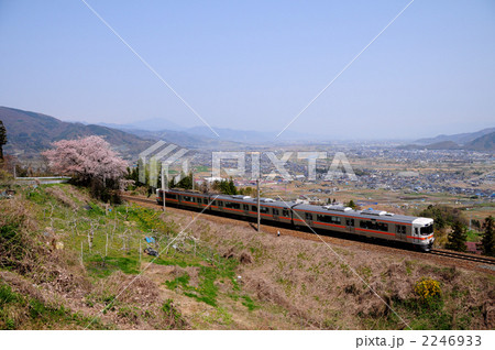 善光寺平と313系電車 善光寺平と313系電車 2246933