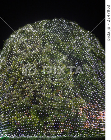 ROHM_07 ROHM_07 2247903