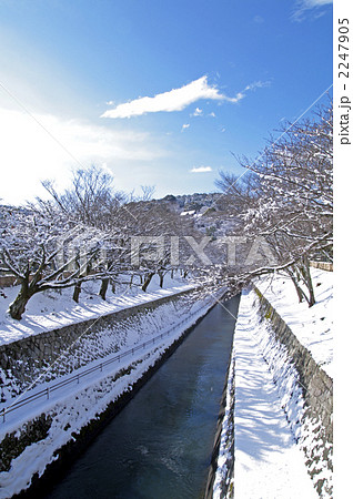 雪の琵琶湖疏水 2247905