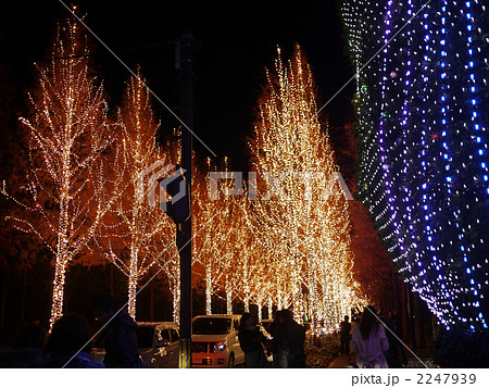 ROHM_10 2247939