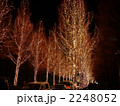 ROHM_12 2248052