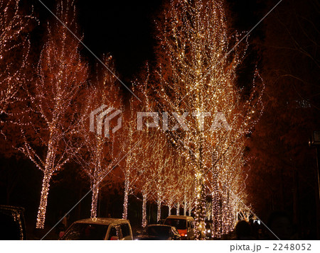 ROHM_12 2248052