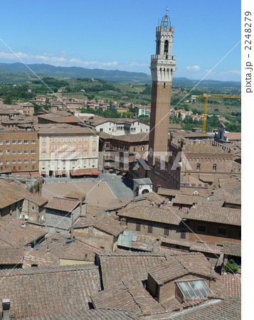 シエナ・カンポ広場を見下ろす 2248279