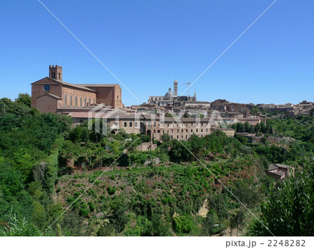 シエナを望む 2248282