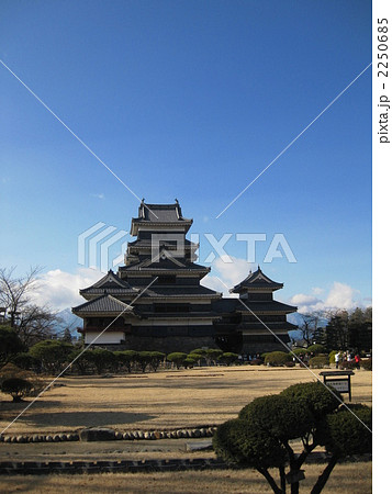 冬の松本城本丸　 2250685