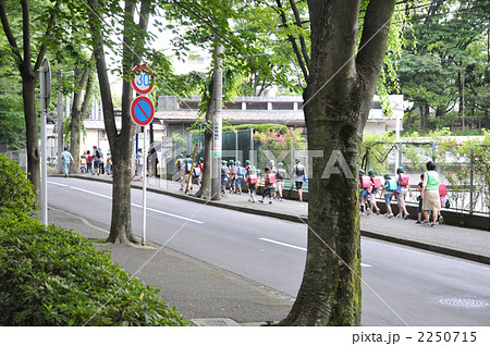 けやき並木の通学路 2250715
