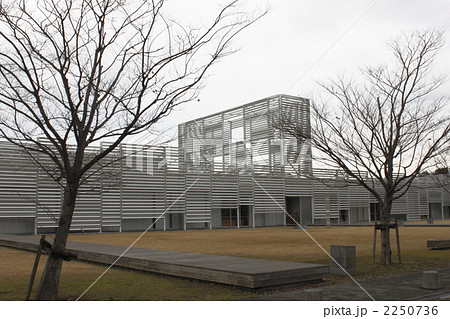 不知火文化プラザ 2250736