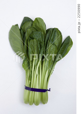 小松菜 2250990