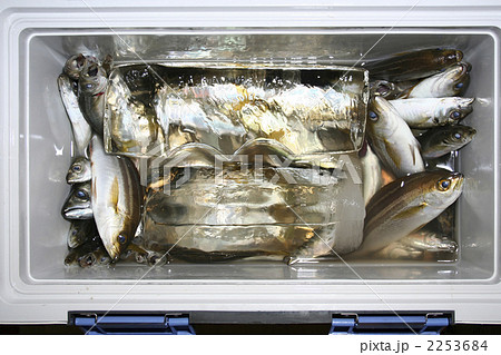 クーラーボックス・釣果 2253684
