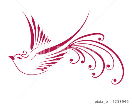 バードのイラスト素材