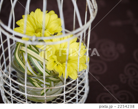 キクの鳥かごアレンジメント キクの鳥かごアレンジメント 2254238