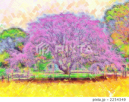 六義園の桜(水彩画) 六義園の桜(水彩画) 六義園の桜(水彩画)