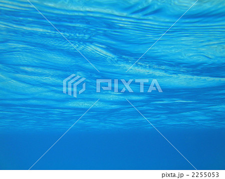 波照間島の海中 波照間島の海中 2255053